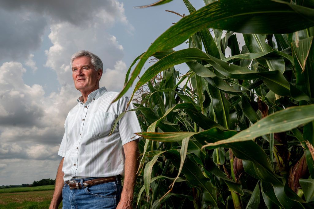 Bob Whitney in corn field