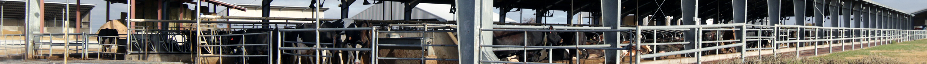 Tarleton State University dairy barn
